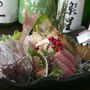 鯛の姿造りに、マグロ、赤貝、つぶ貝、ボタン海老、秋刀魚など、「今日はめでたい！」という日にはぜひ。