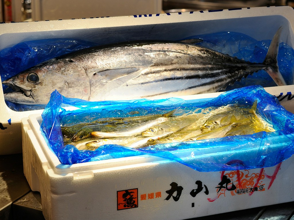 築地から独自のコネクションで調達する「鮮魚」が店の自慢