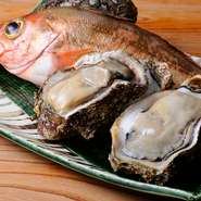 【魚金】の代名詞「鮮魚」は、その日に水揚げされた旬のものを築地から直送。これをオーナーのコネクションを駆使し、新橋のビジネスパーソンが普段使いできる“懐に優しい価格”で提供するのがこの店の醍醐味です。