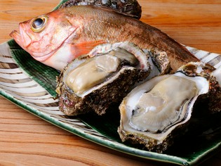 その日に築地で水揚げされた旬の「鮮魚」、旬の「野菜」が自慢