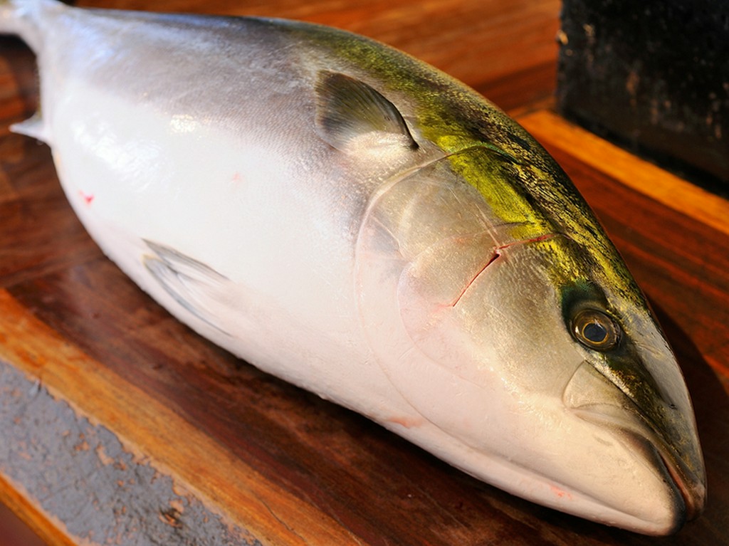 旬の一番旨い素材だから、大きく仕入れて全部出しきる