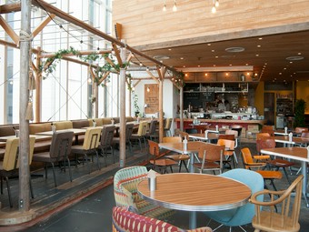 老若男女が一同に揃って、安心して食事ができる店です