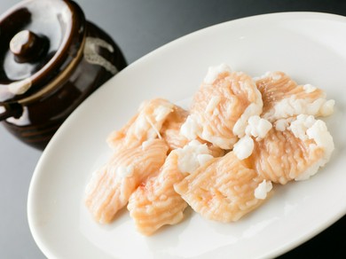 シマチョウ（テッチャン）