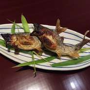 子持ち鮎は、秋の贅沢の一つ。炭火でじっくり焼き上げた鮎は絶品です。