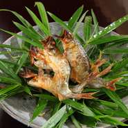 初夏に獲れる鮎はシンプルに塩焼きで。ふっくらとした身と鮎ならではの香りを存分に楽しめます。