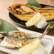 当店はチェーン店ではないので、メニューにないものでも素材があれば注文OK。日々、仕入れる魚介類やメニューが変わるので、たとえ毎日来ても飽きさせません。家に帰るような感覚で、お立ち寄りください。