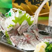 築地にある専門の生け簀料理屋から毎日仕入れている鯵を、新鮮で一番良い状態で提供しています。メニューに迷ったら、ぜひこちらの活造りを堪能してください。