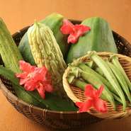 野菜は、沖縄の契約農家さんが作った無農薬の安心・安全な野菜にこだわっています。ですので、都内ではなかなか出合えない沖縄の野菜が揃っています。ぜひ本場の野菜で作った沖縄料理をお楽しみください。