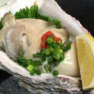 春夏のしまねは「岩牡蠣」が旬
3月～7月・隠岐の岩ガキ
7月～8月中旬・鳥取の天然岩ガキをお楽しみ下さい