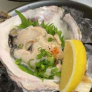 島根の春夏は岩牡蠣をご堪能下さい
漁師小屋Aコースに岩牡蠣を一人１個をお付けしたコースです。