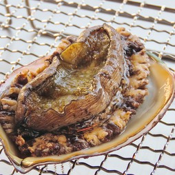 活き蝦夷鮑（あわび）