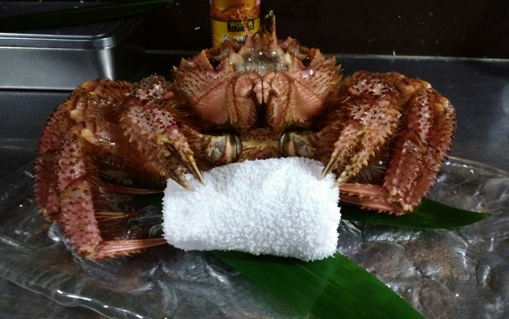 The ultimate bliss course