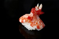 美しい形にも職人技が光る『才巻海老』