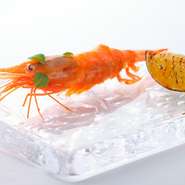 数秒のタイミングで見極めるという“揚げただけ”の甘エビは、エビの自力を引き出した絶妙な揚げ加減。