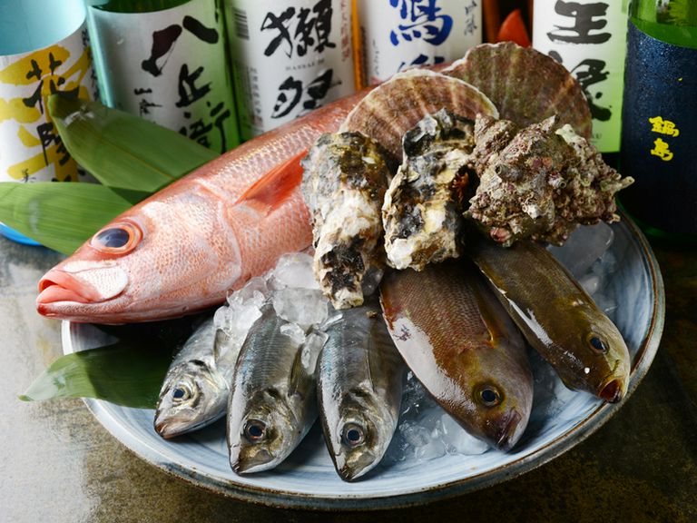 新鮮獲れたて魚介類。旬の味わいを楽しめます