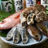 築地で仕入れた魚介類は新鮮でお刺身にも最適です。店長がその厳しい目で選び抜いた味わいはプリプリで活きが良く、素材が持つ味わいが楽しめます。春夏秋冬に合わせた旬の素材は是非味わいたい一品です。