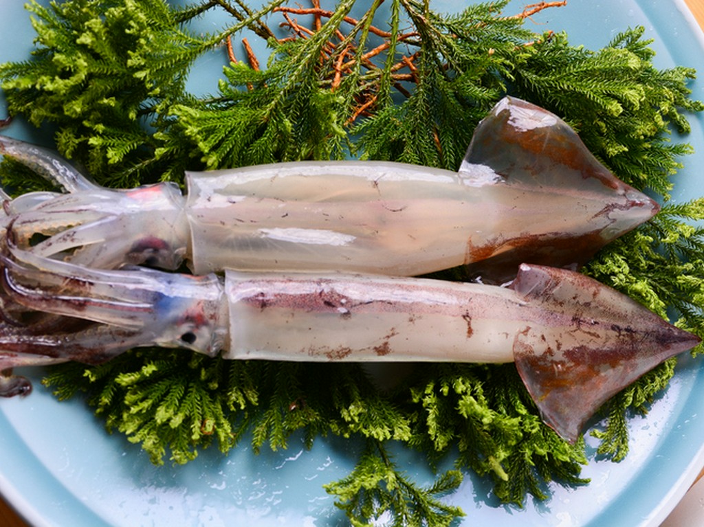 イカは必ず函館から直送される活イカです。