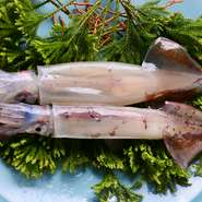 イカは活イカのみを使用しております。1月から4月まではヤリイカ、7月から11月まで真イカを用意しております。（海がしけて活イカが仕入れられない時もございます。）活の真イカのゴロ（内臓）は絶品。
