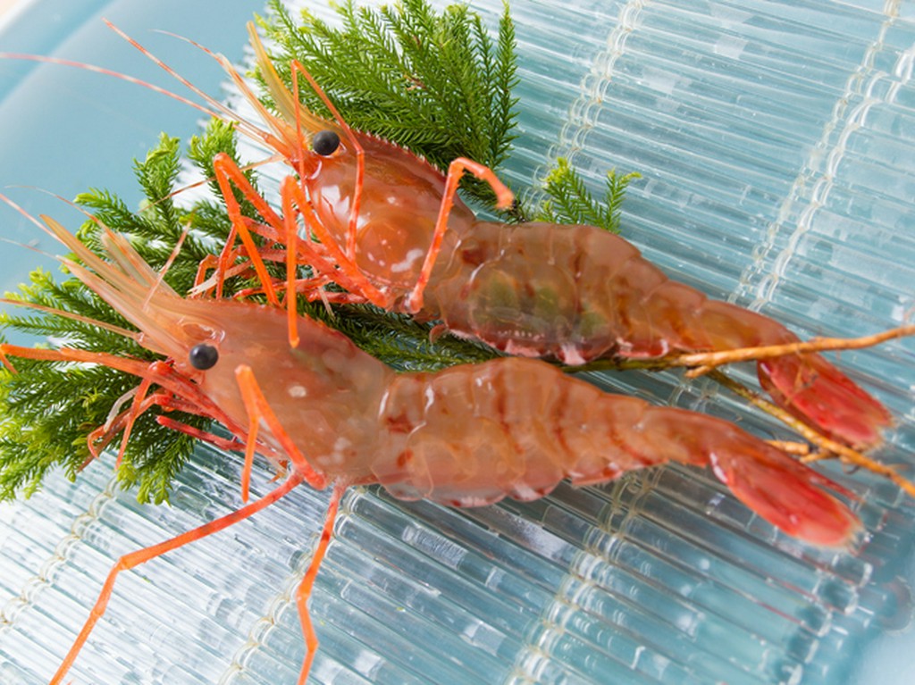 「活き」と「粋」が違う『ボタン海老』