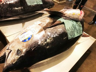 ●2018年12月6日、7日　函館戸井産鮪2本　競り落しました！