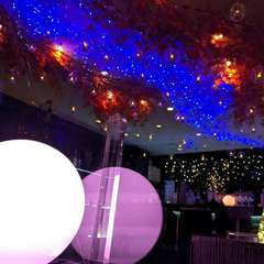 季節ごとに店内の装飾がお洒落に変わる映え空間★