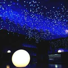 季節ごとに店内の装飾がお洒落に変わる映え空間★