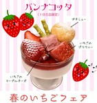パンナコッタ（1日５皿限定）