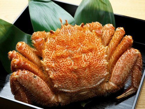 鮮度抜群の魚介を使った握りや和食がふんだんに味わえる 