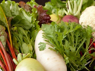 無農薬野菜を使った中華でお客様をおもてなし