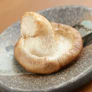 群馬県月夜野キノコ園産　どんこしいたけ