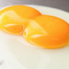 二黄卵を割って見せるあざやかなパフォーマンスは大人気