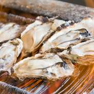 地元宮島で獲れた牡蠣をたっぷりと楽しめるのが、このお店のこだわり。炭火焼から定食まで、いろいろな味を堪能できます。美味しい牡蠣を味わいながら、憩いのひと時を。