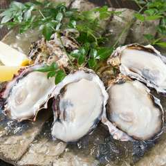 旬の味をたっぷりと堪能できる『生がきの盛合せ』