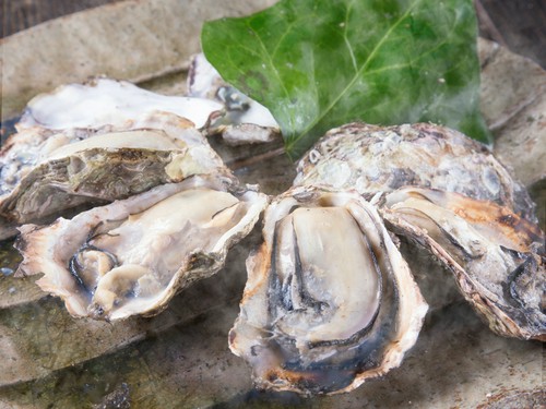プリプリの牡蠣のジューシーな旨みを丸ごと味わえる