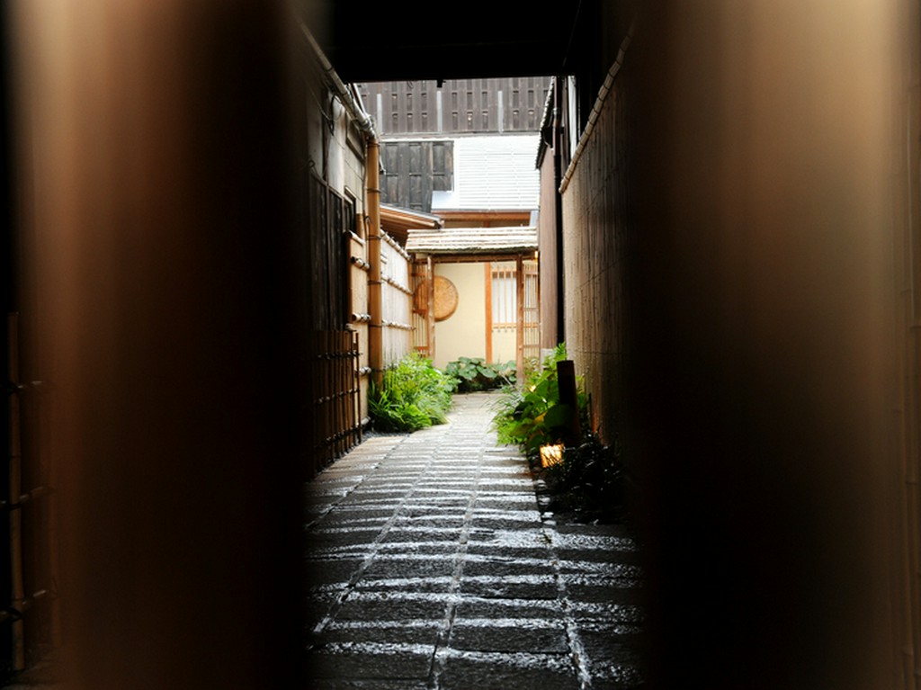 静けさとしっとりとした京都の風情が満喫できます
