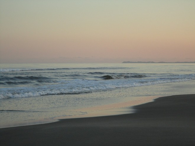 新年会におすすめ