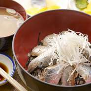 脂の乗った新鮮ないわし！　とろける旨さの『いわし漬け丼』