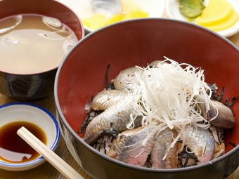 脂の乗った新鮮ないわし！　とろける旨さの『いわし漬け丼』