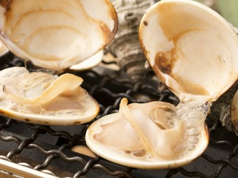 じゅわ～っと湧き出る磯の香り、天然もの『焼きはまぐり』
