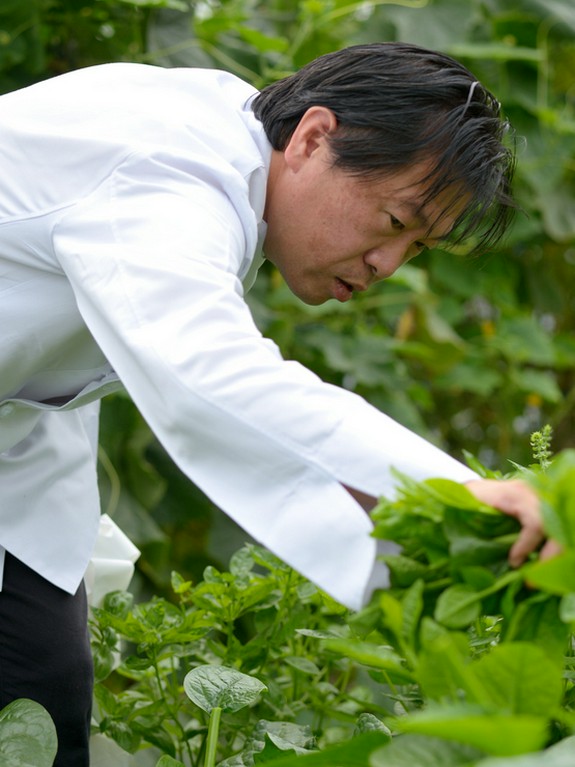 必要な食材をすぐ収穫できるので、鮮度には絶対の自信があります
