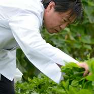 奥田シェフあるいはスタッフが、提携している農家で1日1～2回、その日の料理に使う野菜を収穫しています。「庄内地域全体が冷蔵庫」と語るシェフ。鮮度においては、これに勝る方法はないでしょう。