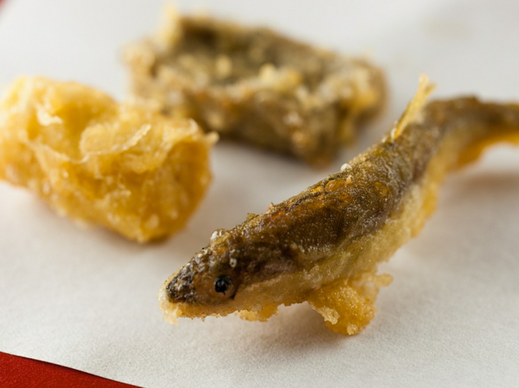 季節を感じる逸品が充実『稚鮎、巻き湯葉、胡麻麩』