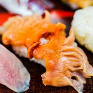 江戸前寿司には欠かせない『赤貝』
