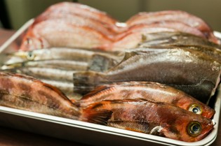 鮮魚の目利きは常に真剣勝負。最高のものだけを仕入れます