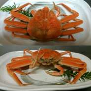 松葉がにの雌で、地元では親がに、せこがにと呼ばれています。
甲羅の中に内子、外にはプチプチの外子を抱えています。