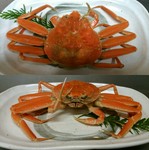 松葉がにの雌で、地元では親がに、せこがにと呼ばれています。
甲羅の中に内子、外にはプチプチの外子を抱えています。