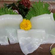 鳥取名産の白いかは、地域によっては、ヤリイカとも剣先イカとも呼ばれているみたいですが、
地元では、2本長い触手がついているいかを「白いか」、触手が短く細いいかを「剣先いか」と一般的に呼んでいます。