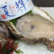 岩牡蠣（夏輝）【提供期間６月～８月】