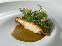 一口食せば“口福”が訪れる『和歌山県産アワビのやわらか煮　ハーブと肝のソースと一緒に』