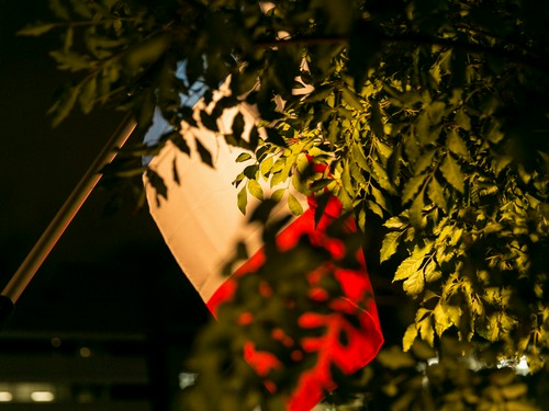 夜は、ぐっとシックな雰囲気に